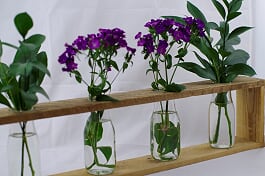 Rustic Wooden Vase Holders